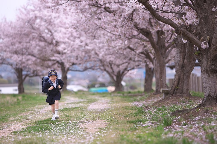 21年版 岡山県の幼稚園 こども園 小学校受験の募集要項まとめ 三愛フォトスタジオの証明写真