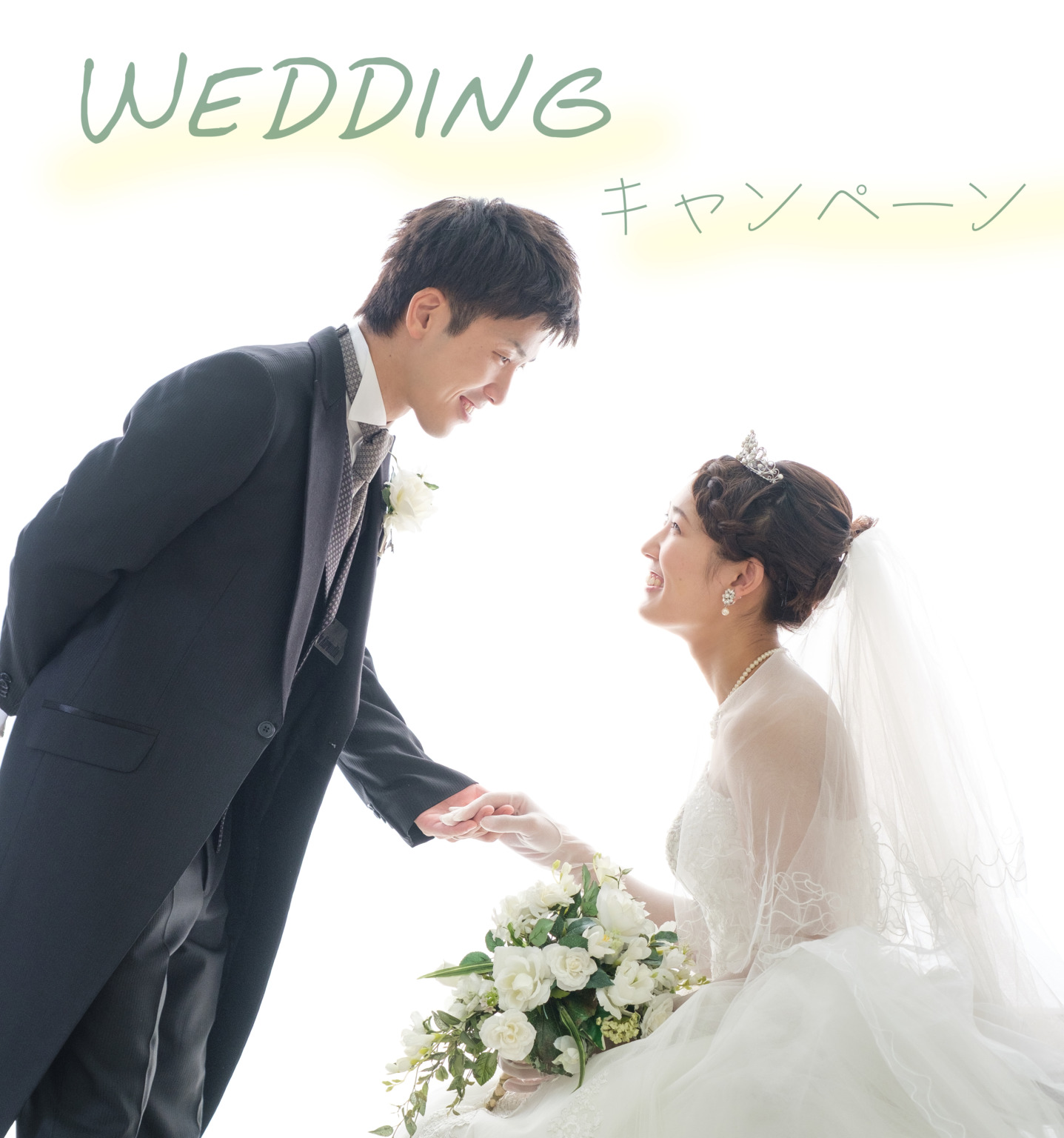 ウエディング　婚礼　キャンペーン　WD